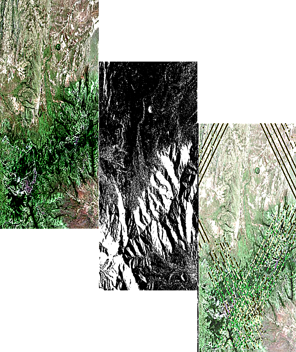 REDD_plus_staggered_elongated_enhanced