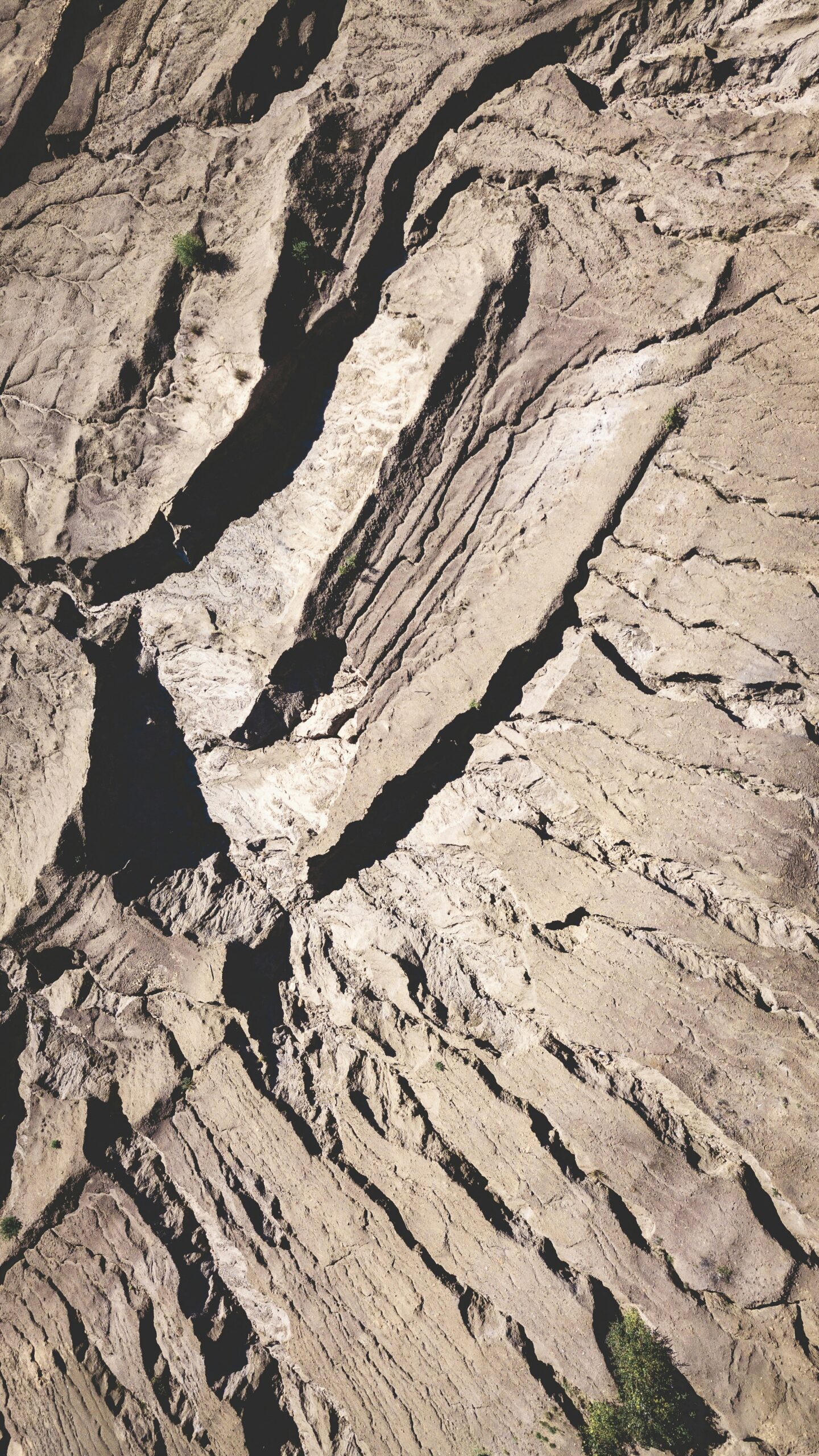 ivan-bandura-YooufHpUoMM-unsplash
